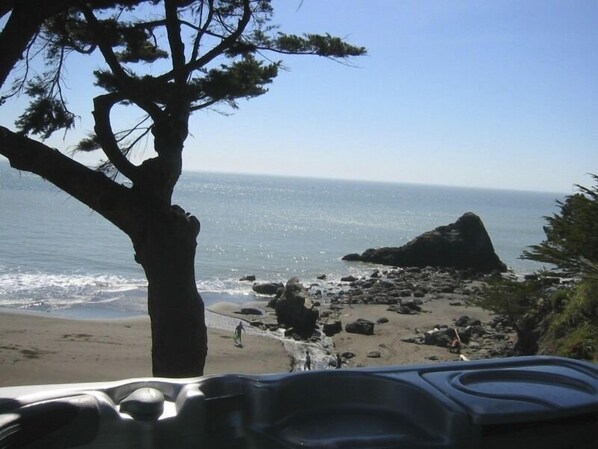 Une plage avec un affleurement rocheux et un arbre au premier plan.