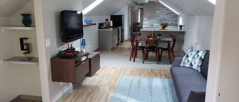 Smart TV, fireplace, books