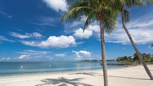 Una spiaggia con acqua cristallina, sabbia bianca e palme.