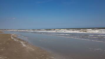 Plage à proximité, chaises longues, serviettes de plage