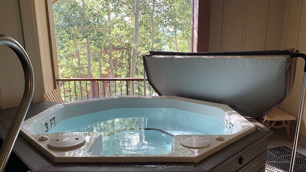 Un bain à remous d’une profondeur de 90 cm, avec une terrasse en bois et une vue sur les arbres et les bâtiments, visible à travers une fenêtre.