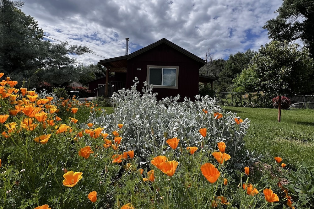 Little Red House Cute, Cozy, Rustic Home in Historic Old Shasta
Whiskeytown Lake