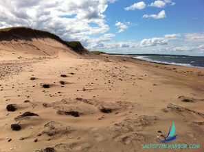 En sandstrand med fotspår och tång, en gräsklädd sanddyn och havet i bakgrunden.