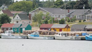 A waterfront with several boats docked, a row of colorful houses, and a grassy hill in the background.