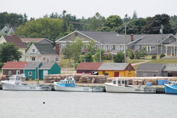 Marina