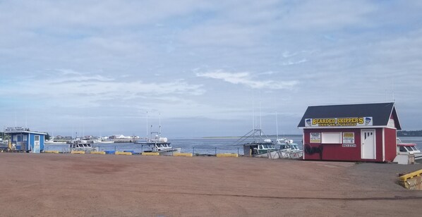 En liten röd byggnad med en skylt som visar att det är Bearded Skipper's, ett företag som erbjuder djuphavsfiske.