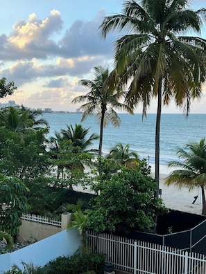 A coastal view with palm trees and a beach.