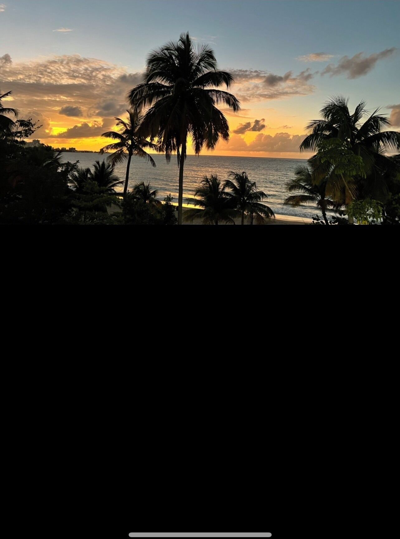 A sunset view with palm trees and a beach.