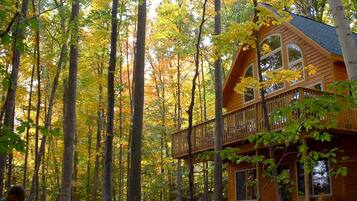 Une cabane en bois dotée d’un balcon, entourée de grands arbres aux couleurs automnales.