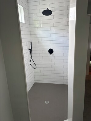 Combined shower/tub, jetted tub, hair dryer, towels
