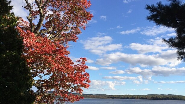 A lakeside view with a dock, sandy beach, and autumn foliage. - Ride your sled from the front door! Ice fishing! Spacious & Clean with Parking! (AuTrain)