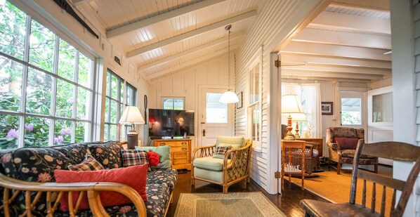 电视、DVD 播放器