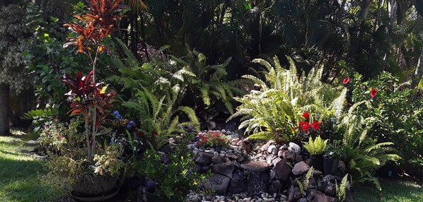A garden with various plants and a small waterfall.