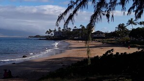 Una playa con una montaña al fondo, palmeras y algunos edificios.