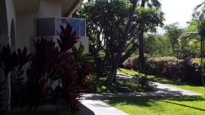 Un sendero que conduce a un edificio con un jardín que presenta diversas plantas y una palmera.