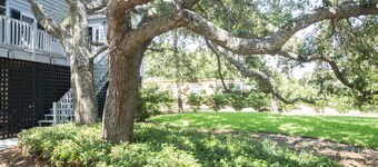 3 BR, 2 BA Charmerende højhus - 1 blok til stranden! Stor Screened Porch med Hammock!