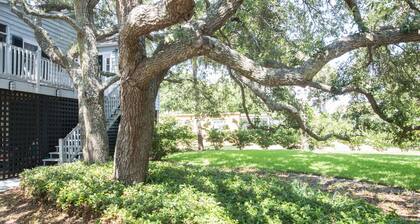 3 dormitorios, 2 BA Encantadora casa elevada - 1 cuadra de la playa! Gran porche cubierto con hamaca!