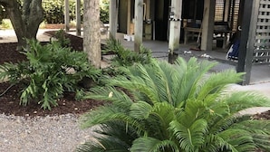A building with a covered outdoor area, wooden deck, and a variety of plants.