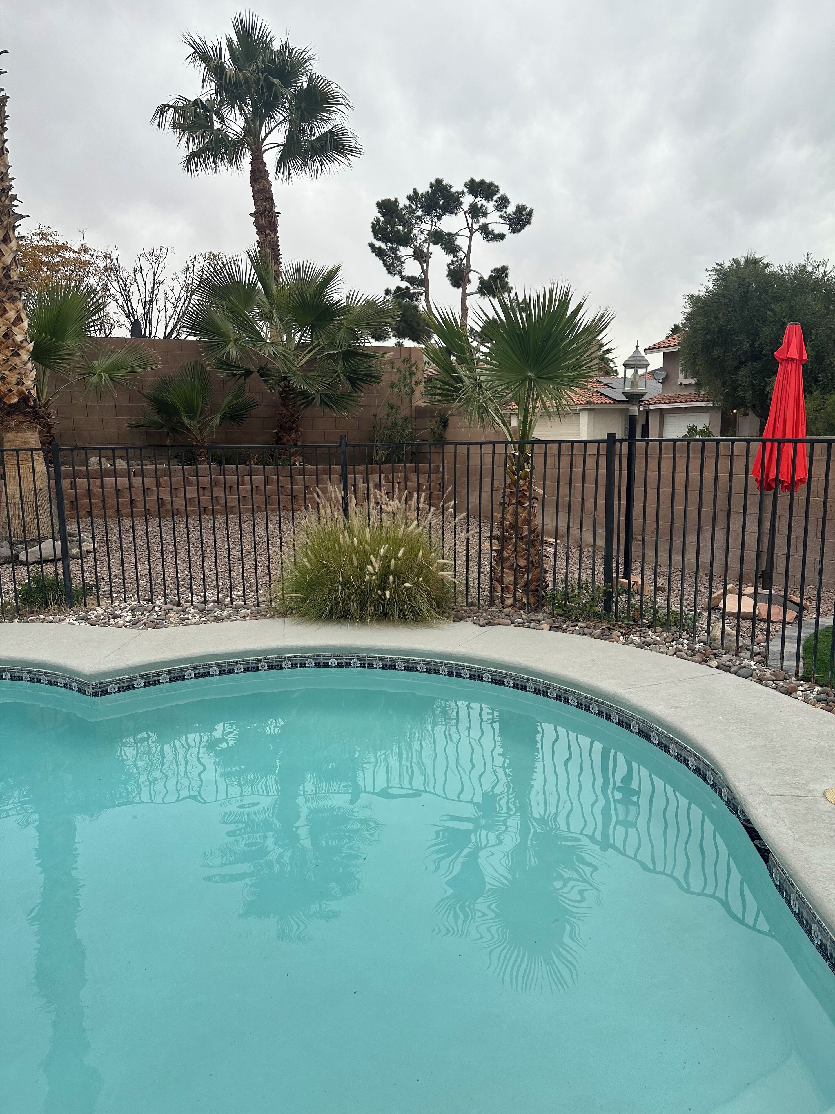 A swimming pool with a tiled edge, surrounded by a fence, palm trees, and a red umbrella.