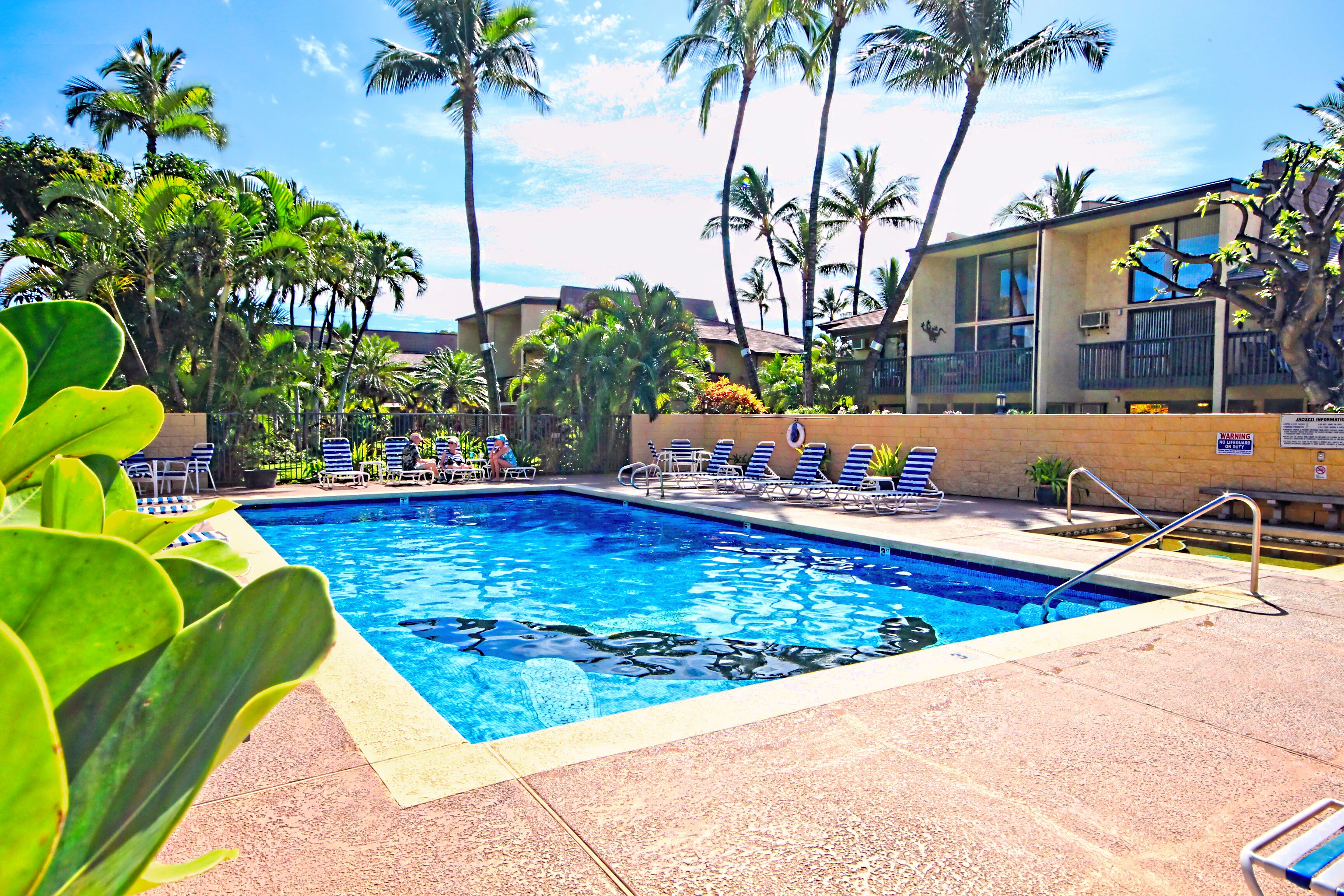 Piscina externa, piscina aquecida