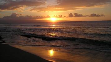 On the beach, sun-loungers, beach towels