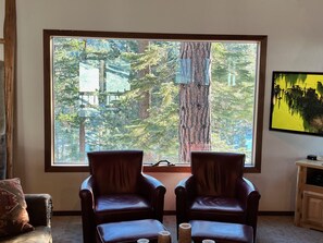 TV, fireplace, DVD player, foosball