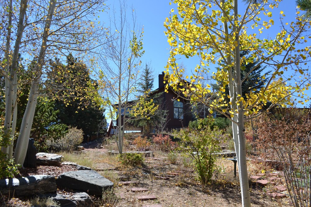 Custom built Estes Park Home! Family friendly and room for everyone!