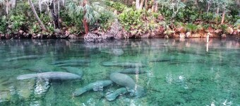 6/3 Maison - Piscine, Trampoline, Cinéma, près des plages, Orlando, Disney, UCF!