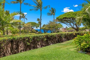 Un jardín ajardinado con palmeras, setos y vista al océano.