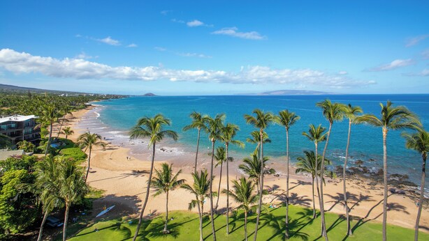 A beach with palm trees, a clear sky, and a view of the ocean. - Rare No-Stairs Ocean View Condo ~ Maui Kamaole (Kihei)