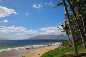 Tumbonas y toallas de playa