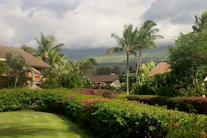 A tropical resort with lush greenery, palm trees, and a view of distant hills. - Oceanview, no stairs and a Murphy Bed at Maui Kam (Kihei)