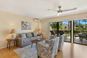 Smart TV, DVD player, books, video library