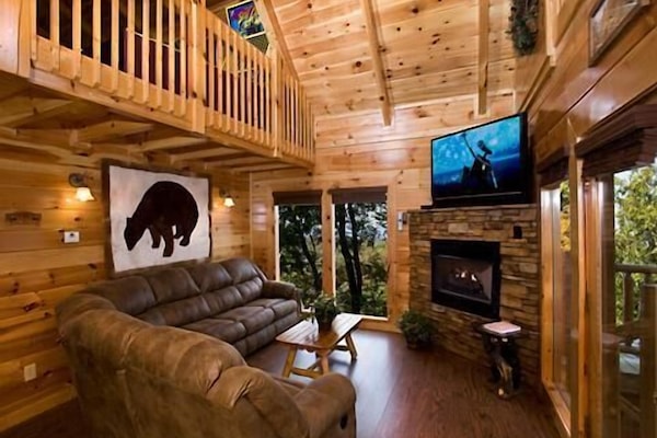 TV, fireplace, video games, DVD player