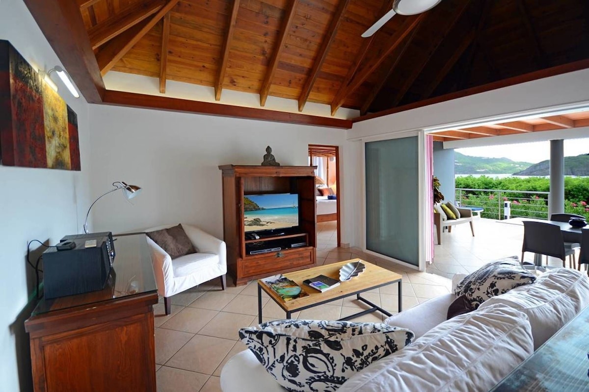 Open living area flowing to the terrace