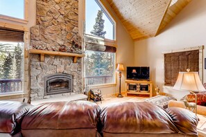 TV, fireplace, DVD player, books