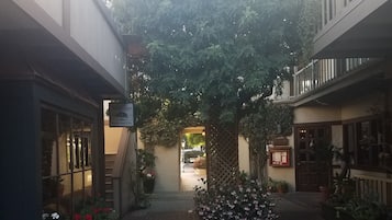 Detalle del exterior