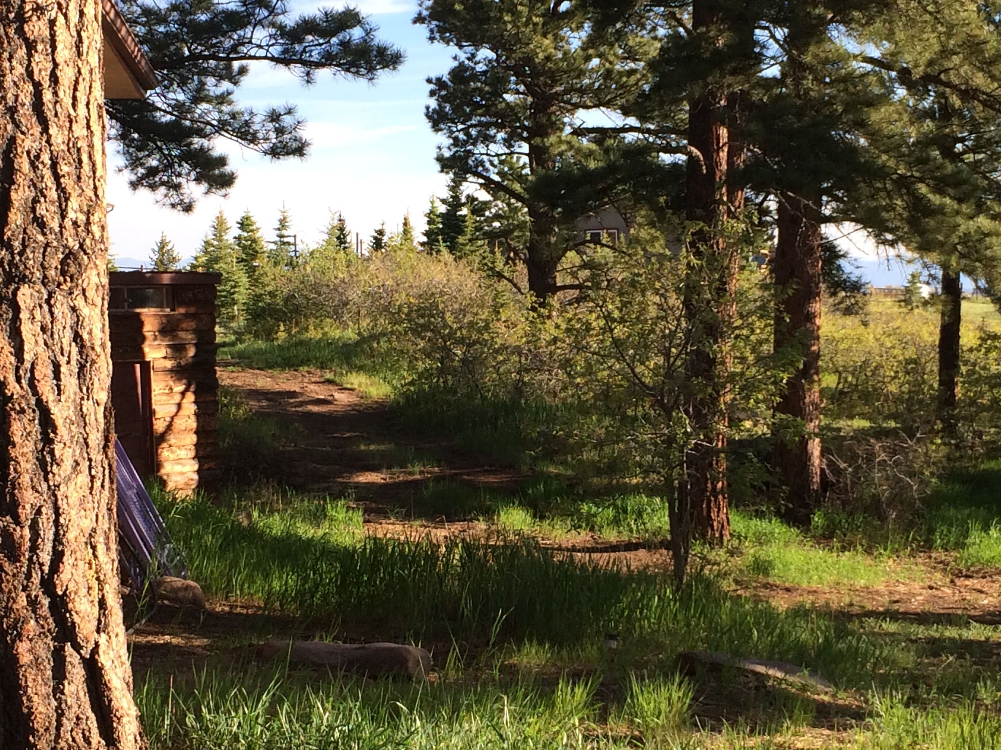 A forested area with a dirt path leading to a stone structure.