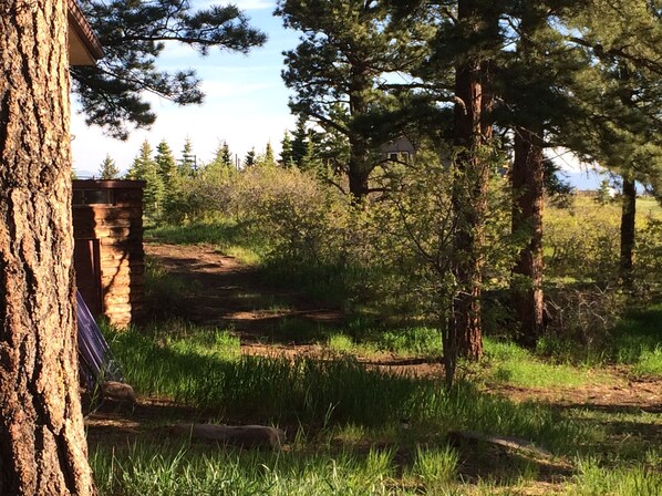 A forested area with a dirt path leading to a stone structure.