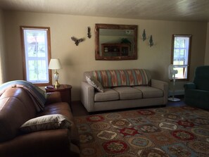TV, DVD player, books, video library