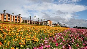 Ein Hotel mit mehreren Etagen, Palmen und einem Feld bunter Blumen.