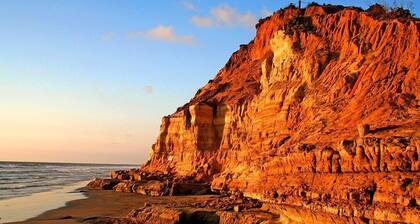Carlsbad - "Bird of Paradise Oceanview kattohuoneisto"