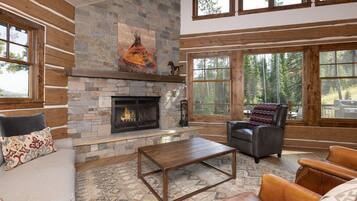TV, fireplace, video-game console, stereo