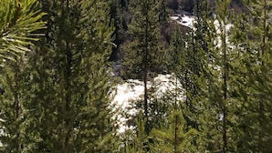 Waldlandschaft mit Blick auf verschneite Flächen und ferne Berge.