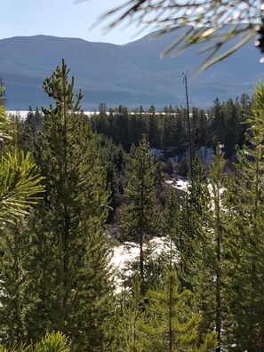 A forested area with a view of snow-covered ground and distant mountains.