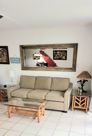 Smart TV, DVD player, books
