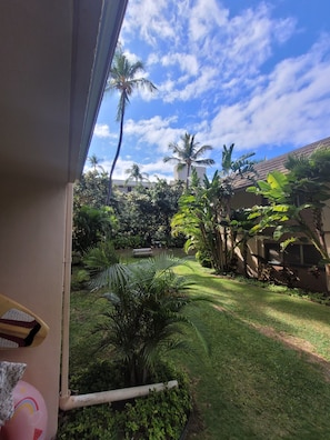 A view of a lush garden with palm trees and a bench, visible through a window with a partial view of a building.