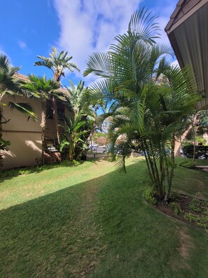Property grounds - May 25- Jun 14 $140 KKN-Get Spoiled in DLX unit/Low total price/Best S. location (Kihei, Maui)