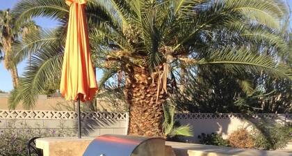 Welcome To Alicia Alibi