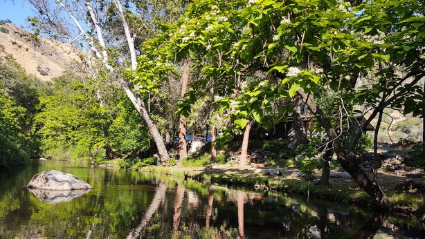 A tranquil riverside setting with a clear reflection of trees and a large rock in the water. - Riverfront North Fork Kaweah - 1500 Ft of your own river! (Three Rivers)